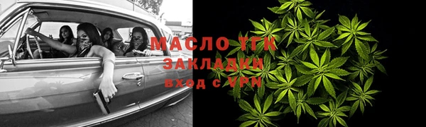 ешки Новодвинск