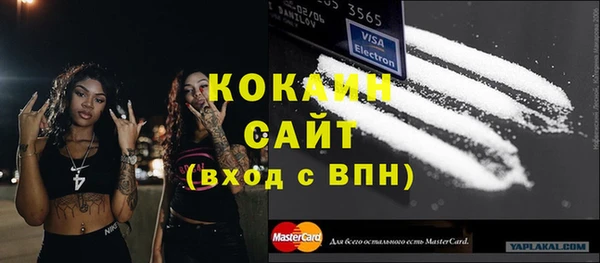ешки Новодвинск