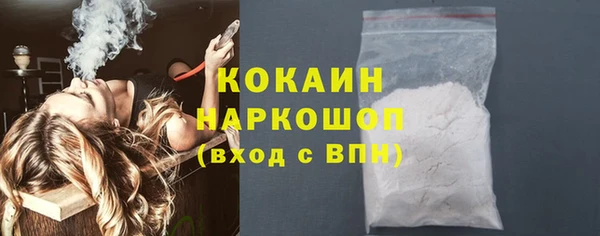 стаф Новокубанск