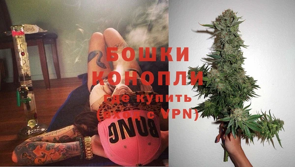 ешки Новодвинск