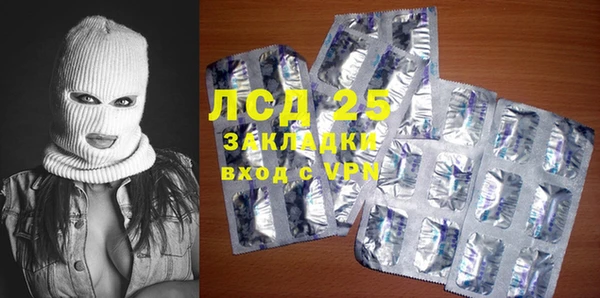 ешки Новодвинск