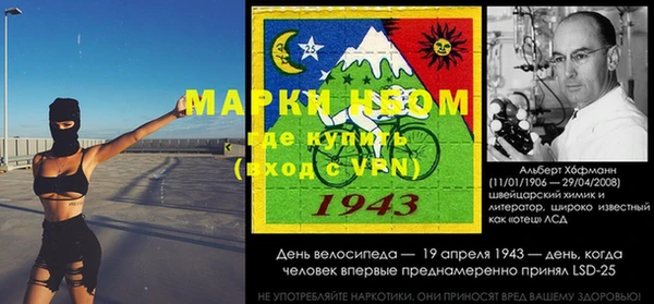 ешки Новодвинск
