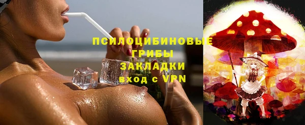 ешки Новодвинск