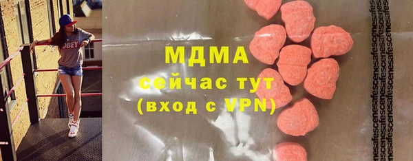 стаф Новокубанск
