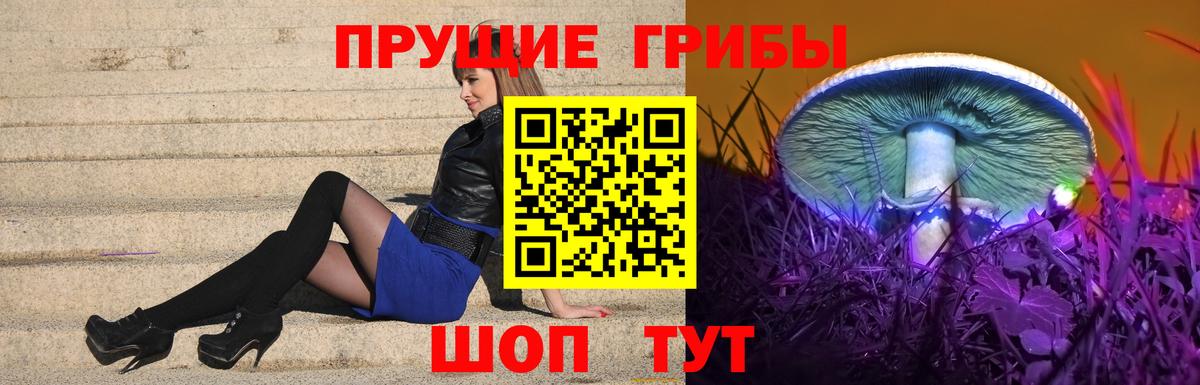 Уварово  Псилоцибиновые грибы Cubensis  купить наркоту  Галлюциногенные грибы Psilocybe  Вход с VPN 